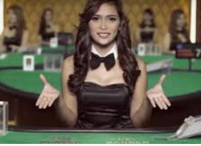 问鼎wd28娱乐2024最新版